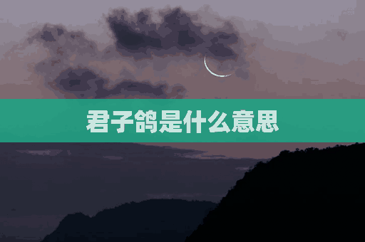 君子鸽是什么意思(君子哥是什么意思)